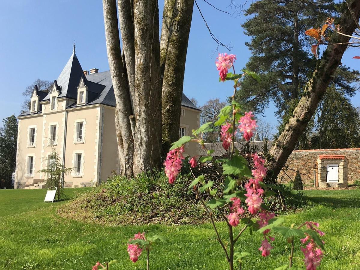 Le Petit Chateau Des Cedres Bed & Breakfast Mouchamps Exterior photo